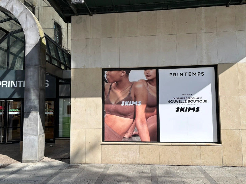 Pose vitrine lyon