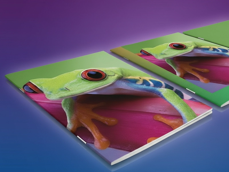 Impression de brochures agraf eacute es